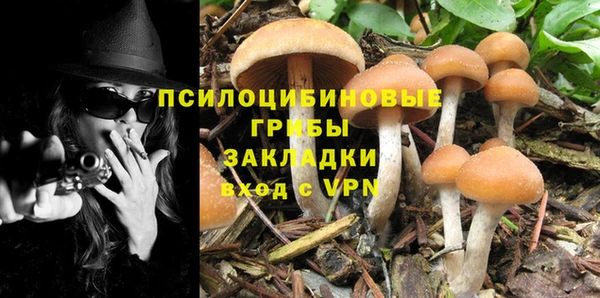первитин Верхний Тагил