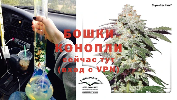 бошки Верея
