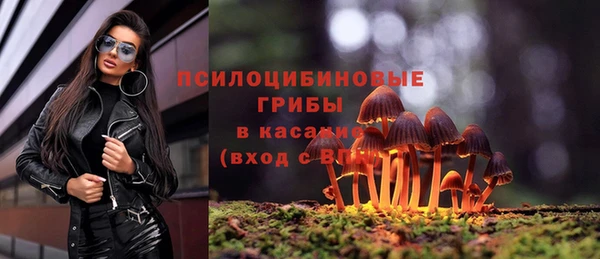 бошки Верея