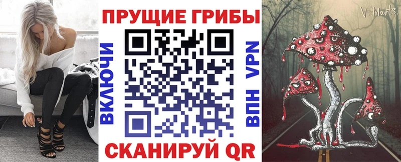 Купить закладки  Минусинск  Псилоцибиновые грибы Psilocybe 